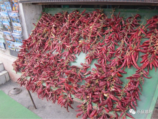 匈牙利布达佩斯吃中国美食,布达佩斯的美食