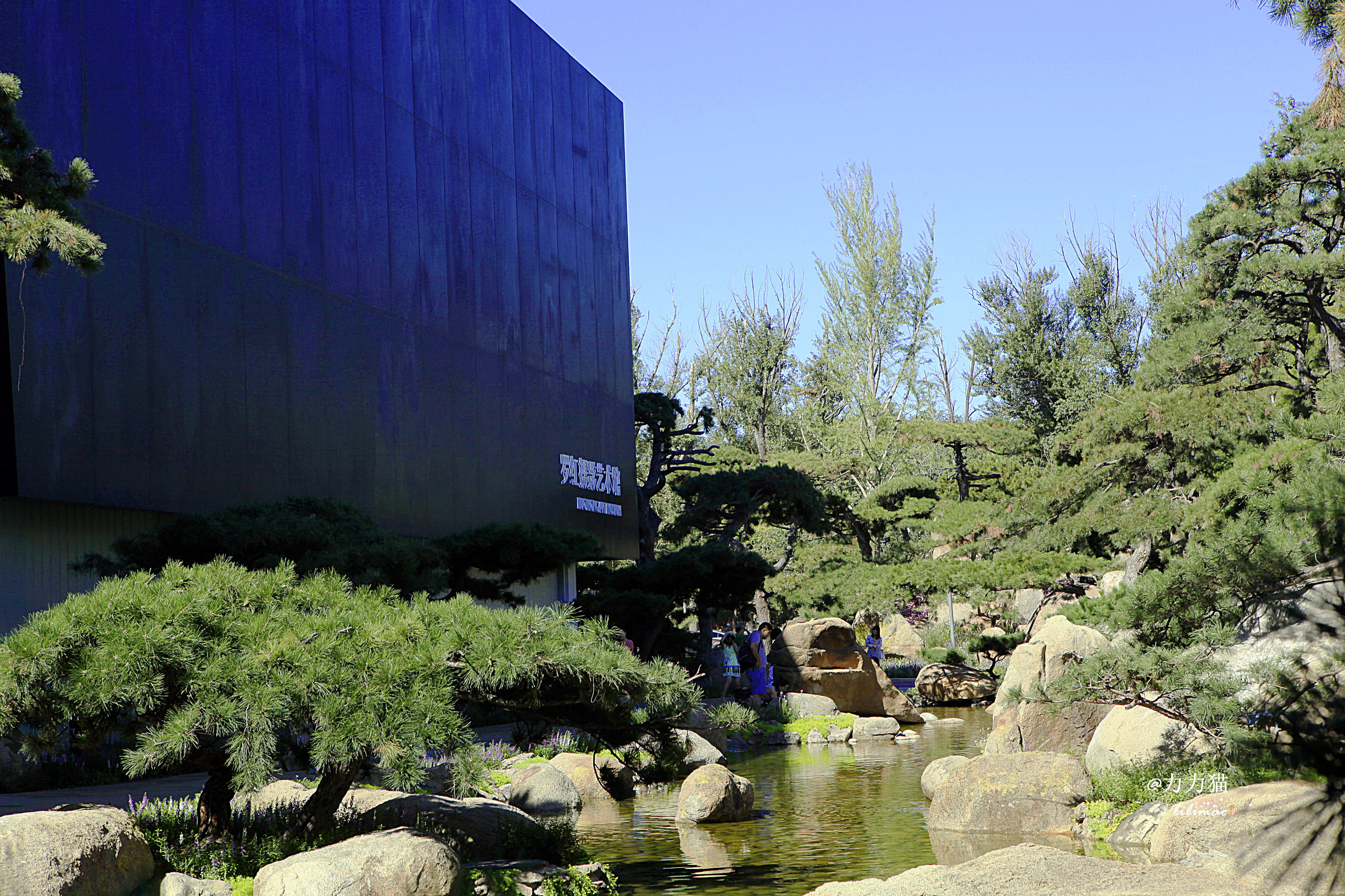 罗红摄影艺术馆蛋糕价格,罗红艺术馆黑天鹅蛋糕