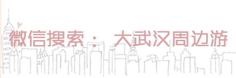 尖叫吧结局,尖叫吧完整版免费观看