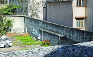 浙江大学和贵州大学,涨知识大开眼界