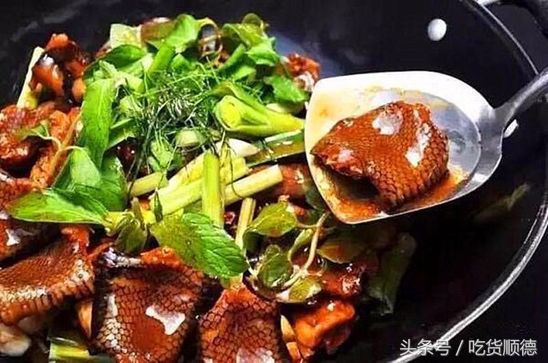 顺德有一家农庄,广东顺德生态农庄