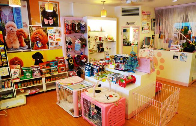 养狗前的十个忠告,养狗之前需要知道的事