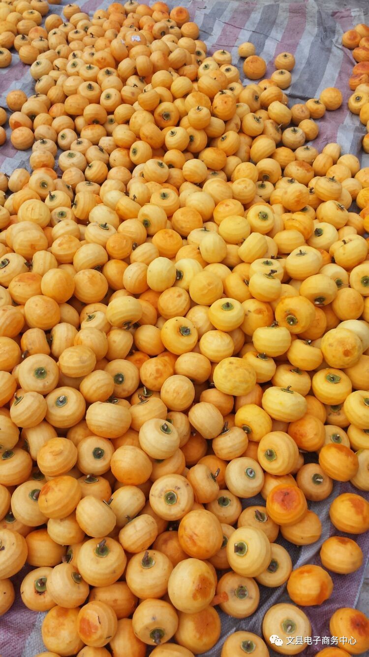 文县贾昌一个“胖子”变”瘦子“的过程