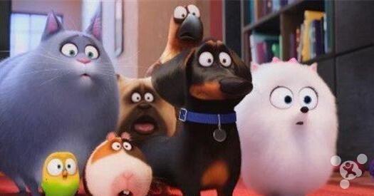 威威趣谈：安静地做个支付工具为啥这么难？