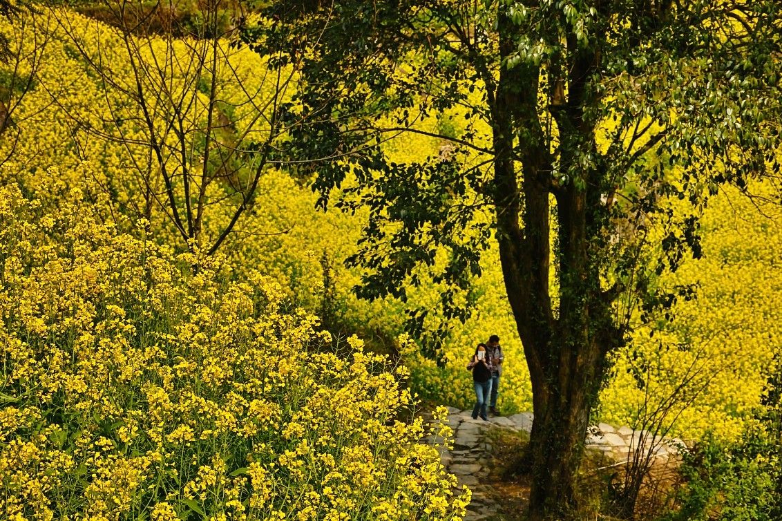 您的2016已不足8%！这篇攻略请mark好，明年60天假期妥妥的！