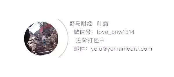 永乐文化创始人杨波现状,创业者杨波