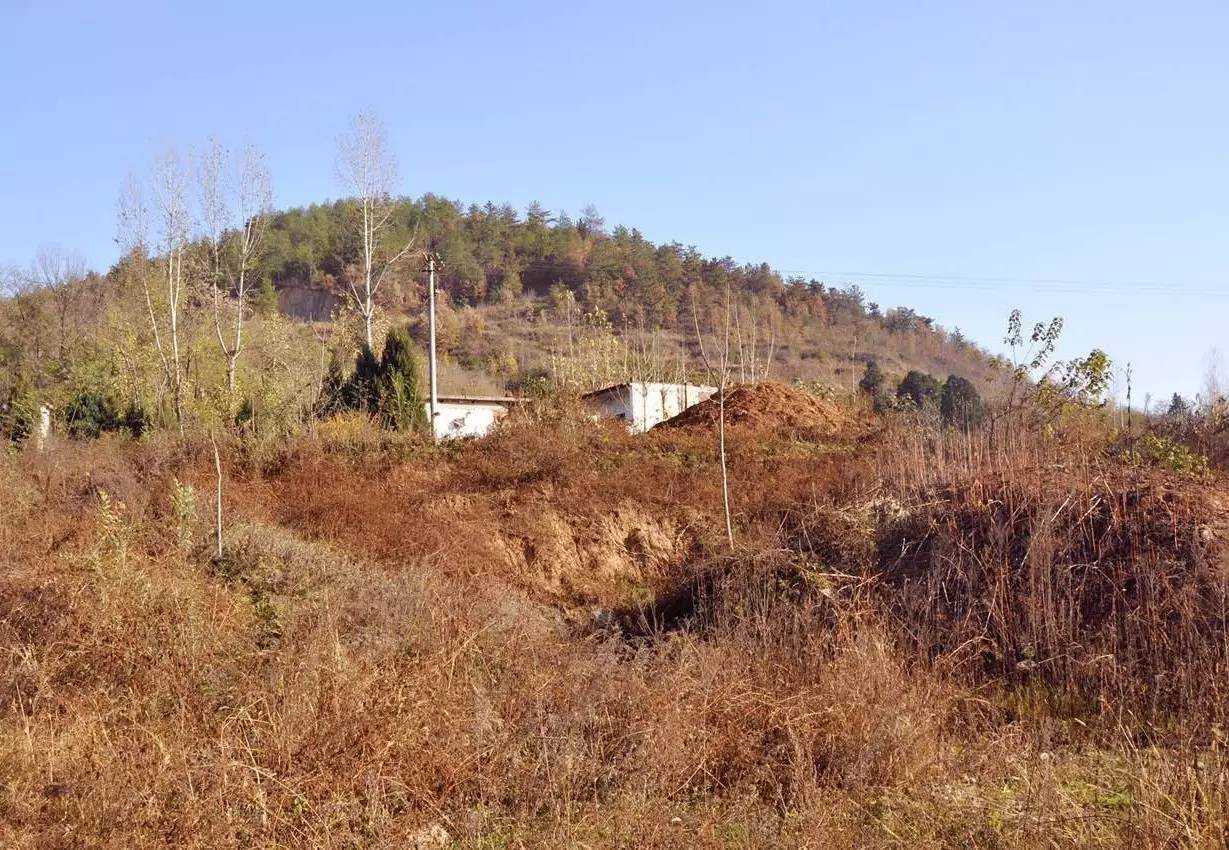 七旬老人匠心酿酒30年，发现了红小米中蕴藏的秘密……