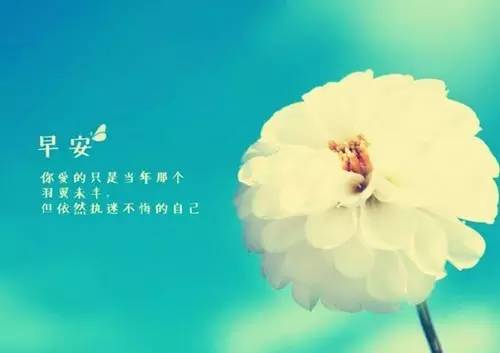 早安问候语加图片微商早安语录,微商早安励志语录正能量句子