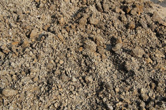 你知道为什么你养的多肉养不好吗,开花香又好养的球兰