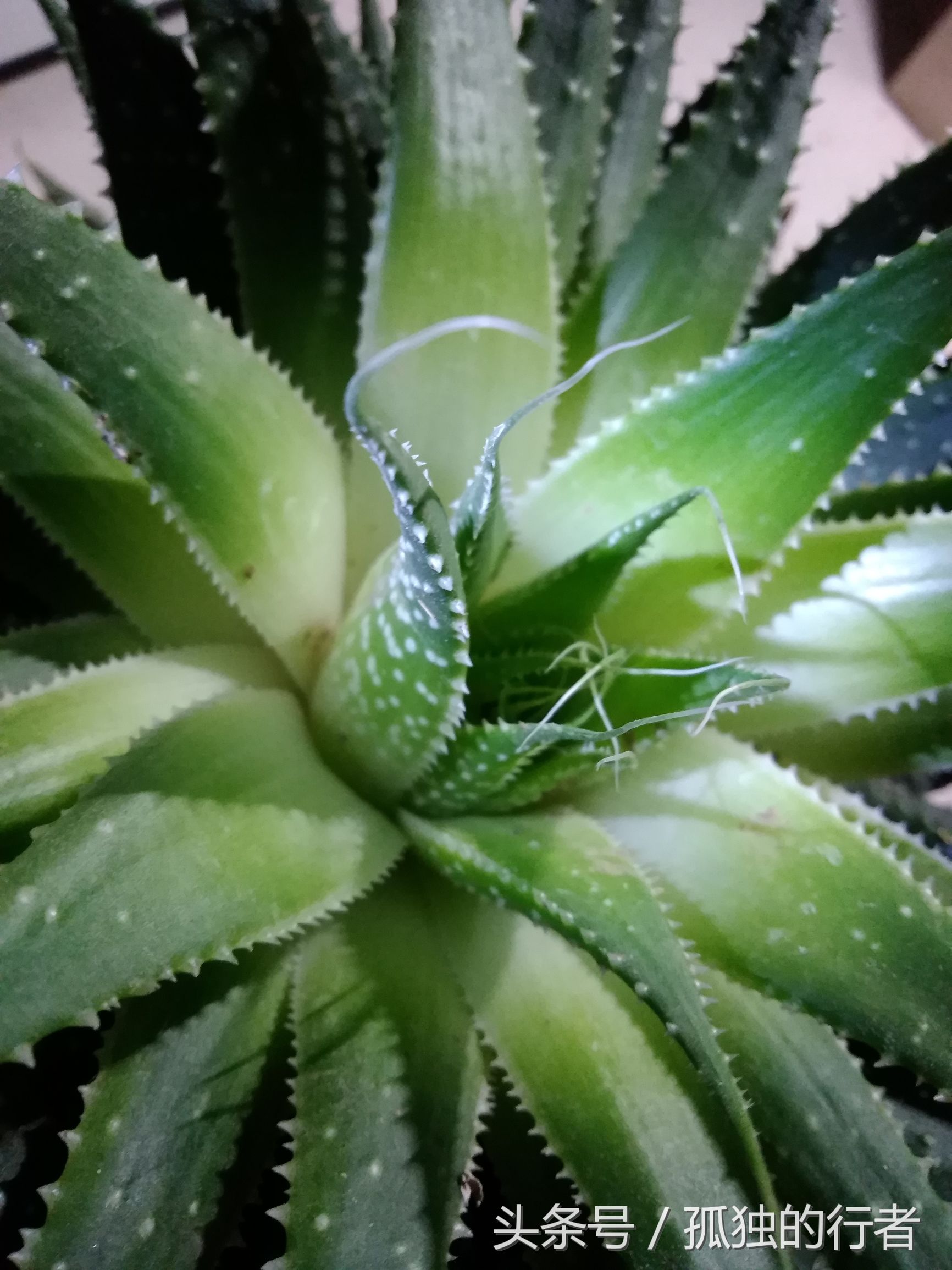 华为畅享6s全面深度体验评测,华为畅享6s怎么样值得买吗