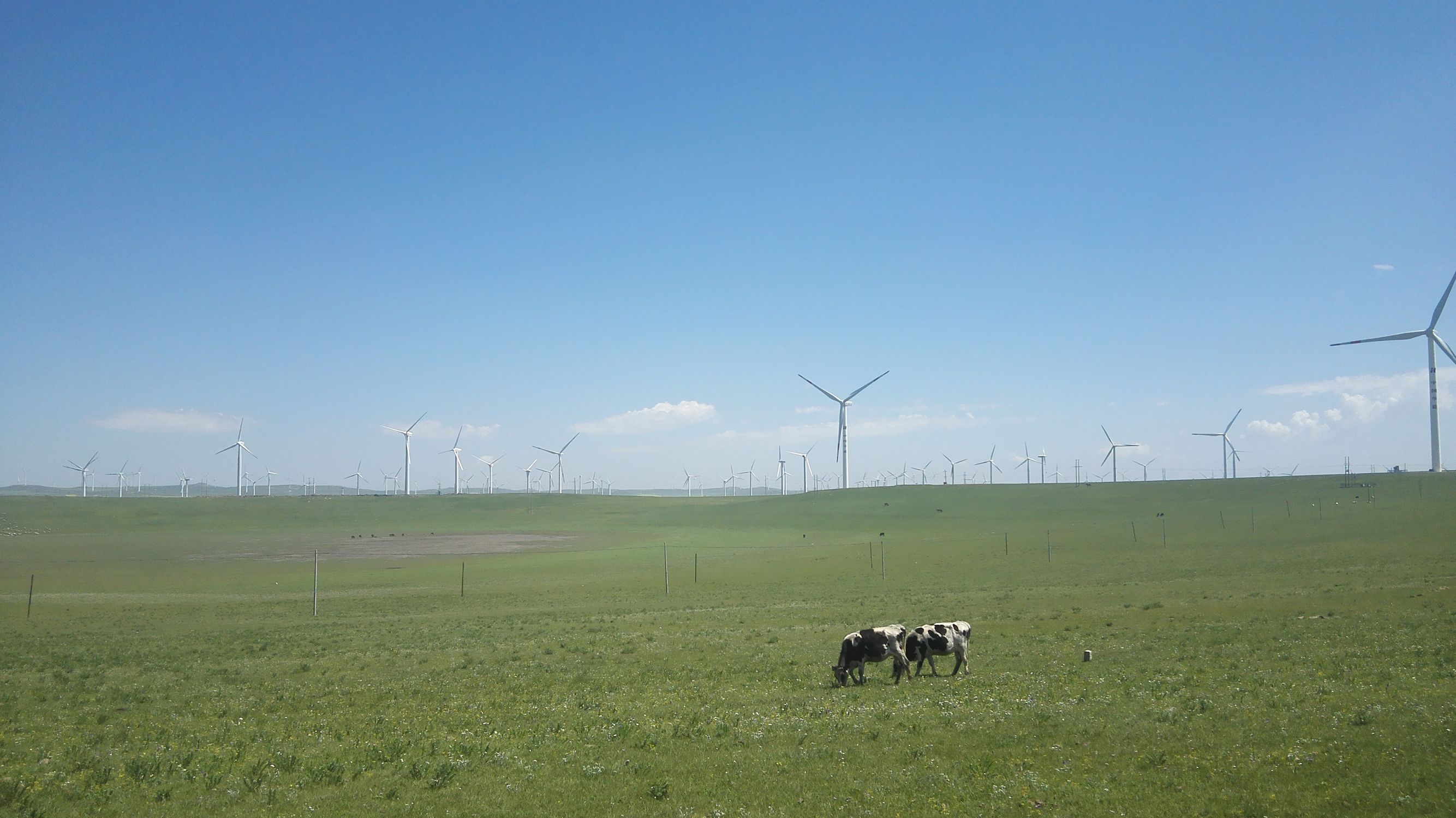 辉腾锡勒草原拍照姿势,辉腾锡勒大草原照片