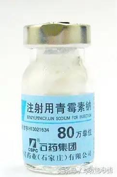 青霉素是哪里发现的,怎么知道青霉素过敏
