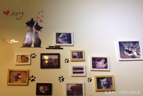 猫咪主题餐厅一览表,首家猫咪主题餐厅