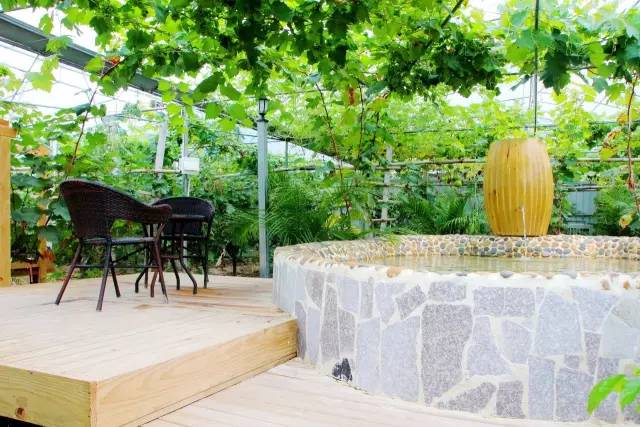 天气那么冷，不如来一“泡”？老司机，带你飞！