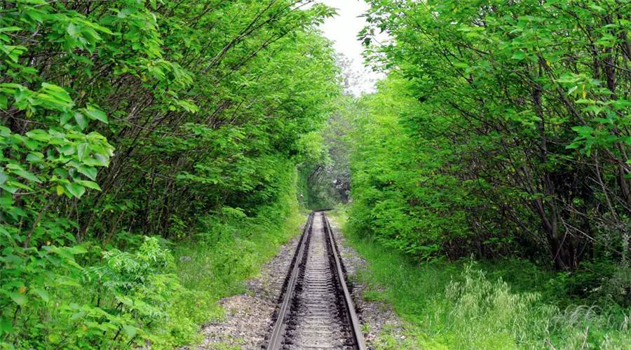南京风景最美农家乐,南京周边十大最好玩的农家乐