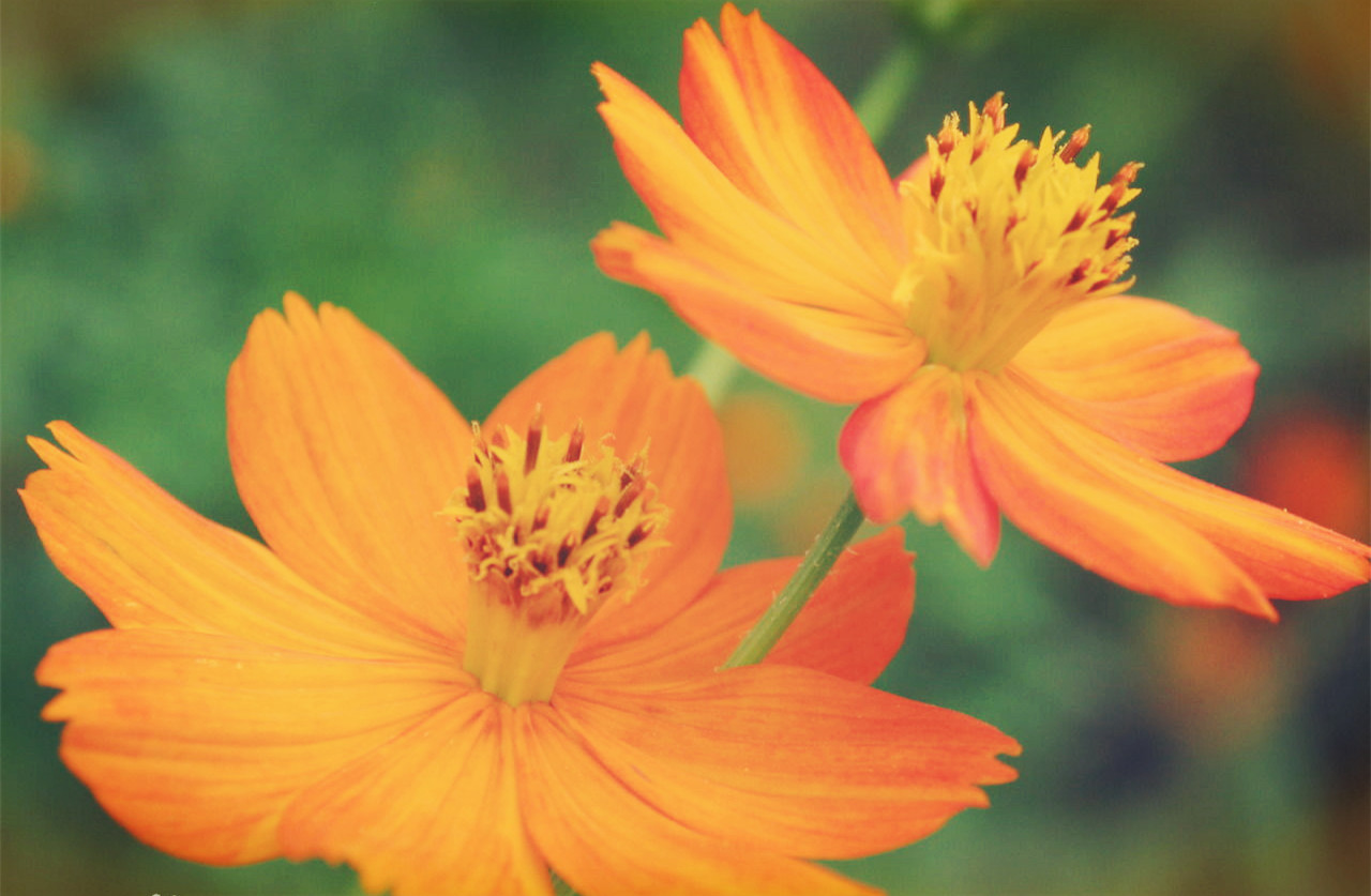 小学期末考试作文跑题扣多少分,期末作文怎么提分最好