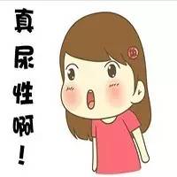 《东北话》的魅力,东北话的魅力完整版