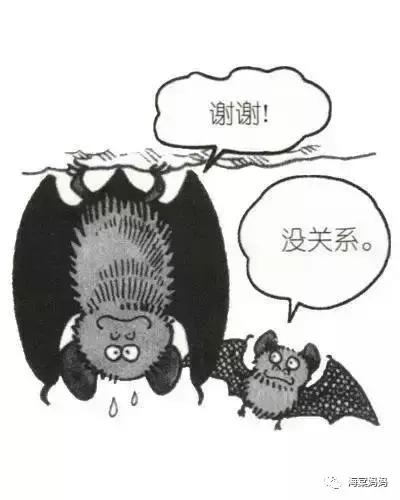 海棠科普丨天啊，居然还有这种排便方式