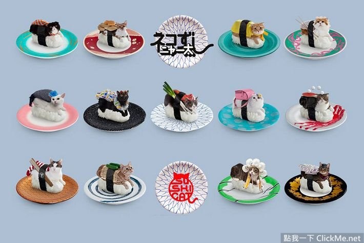 猫咪寿司店治愈短片,超可爱寿司猫咪