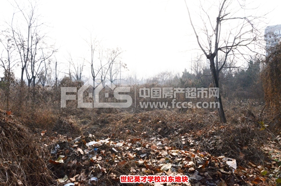 淄博高新区先创区最新规划,淄博体育公园规划