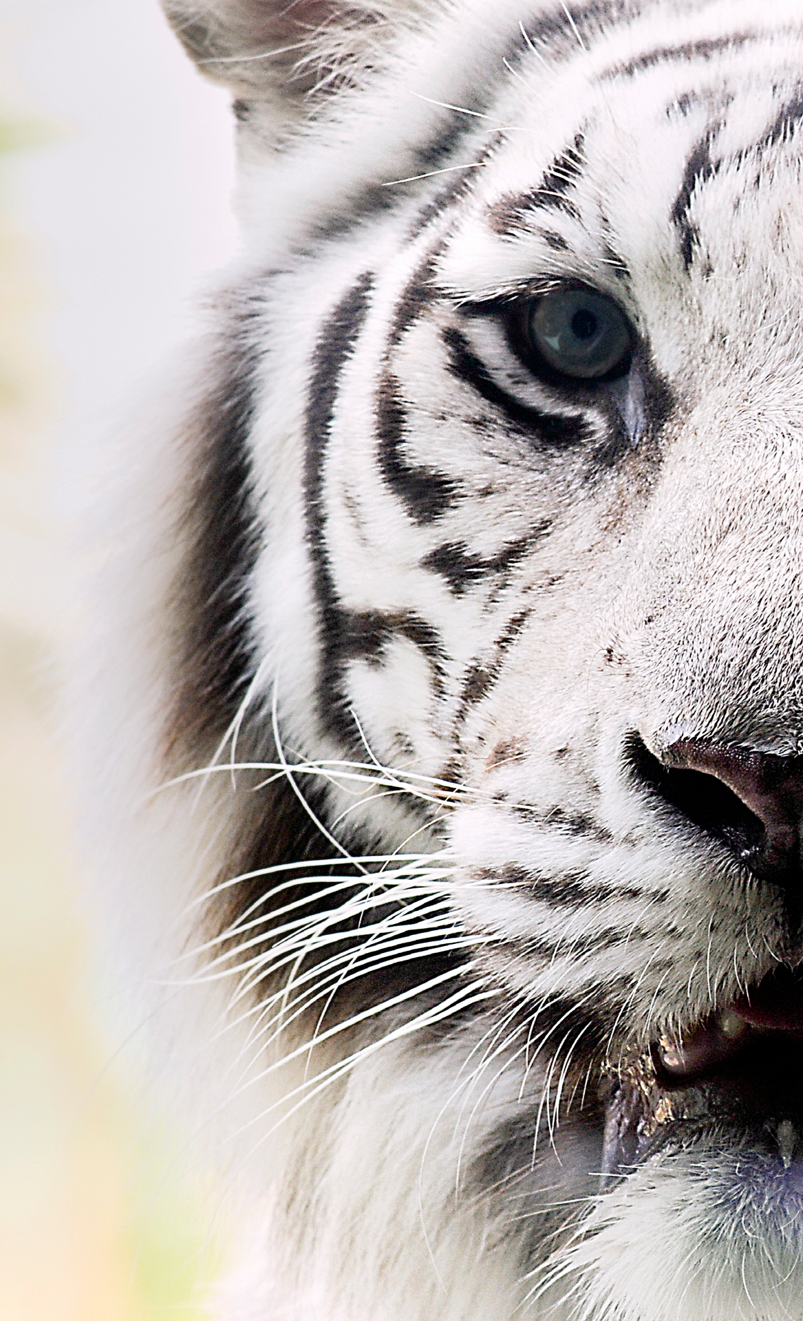 lenovo原生壁纸,lenovo高清壁纸