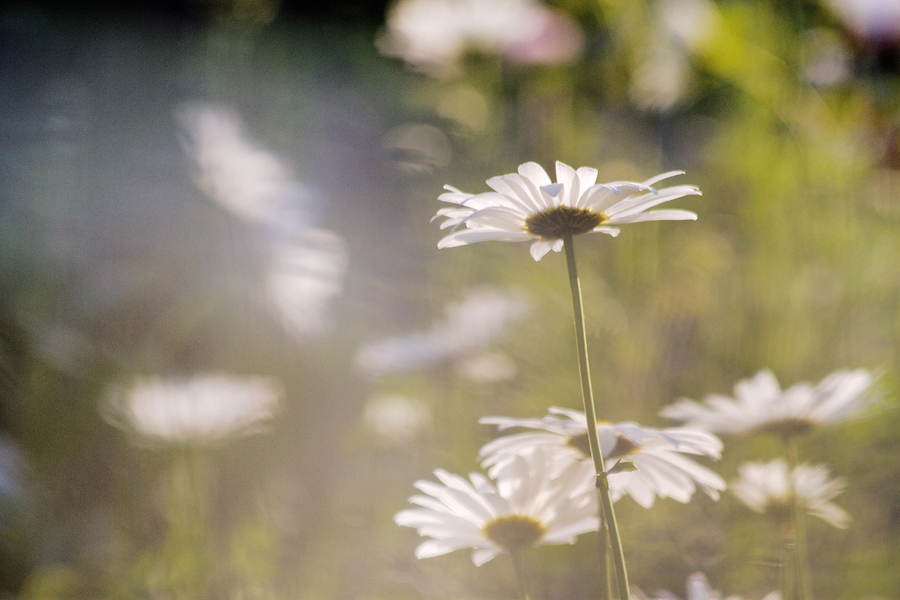 职场中的负能量句子,职场远离负能量的人经典语录