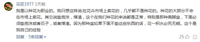 十大坑人花卉排名,花卉市场坑人吗