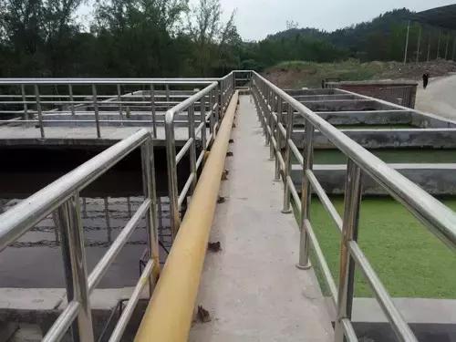 致富好项目有哪些,致富有啥好点子