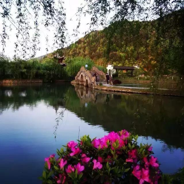 当新西兰的空气叫卖到699元每罐的时候,咱婺源人民不淡定了!