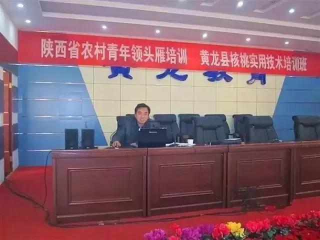 今年核桃价格趋势,今年核桃价格走势如何