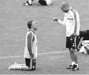 狗为什么吃屎,为什么狗吃屎