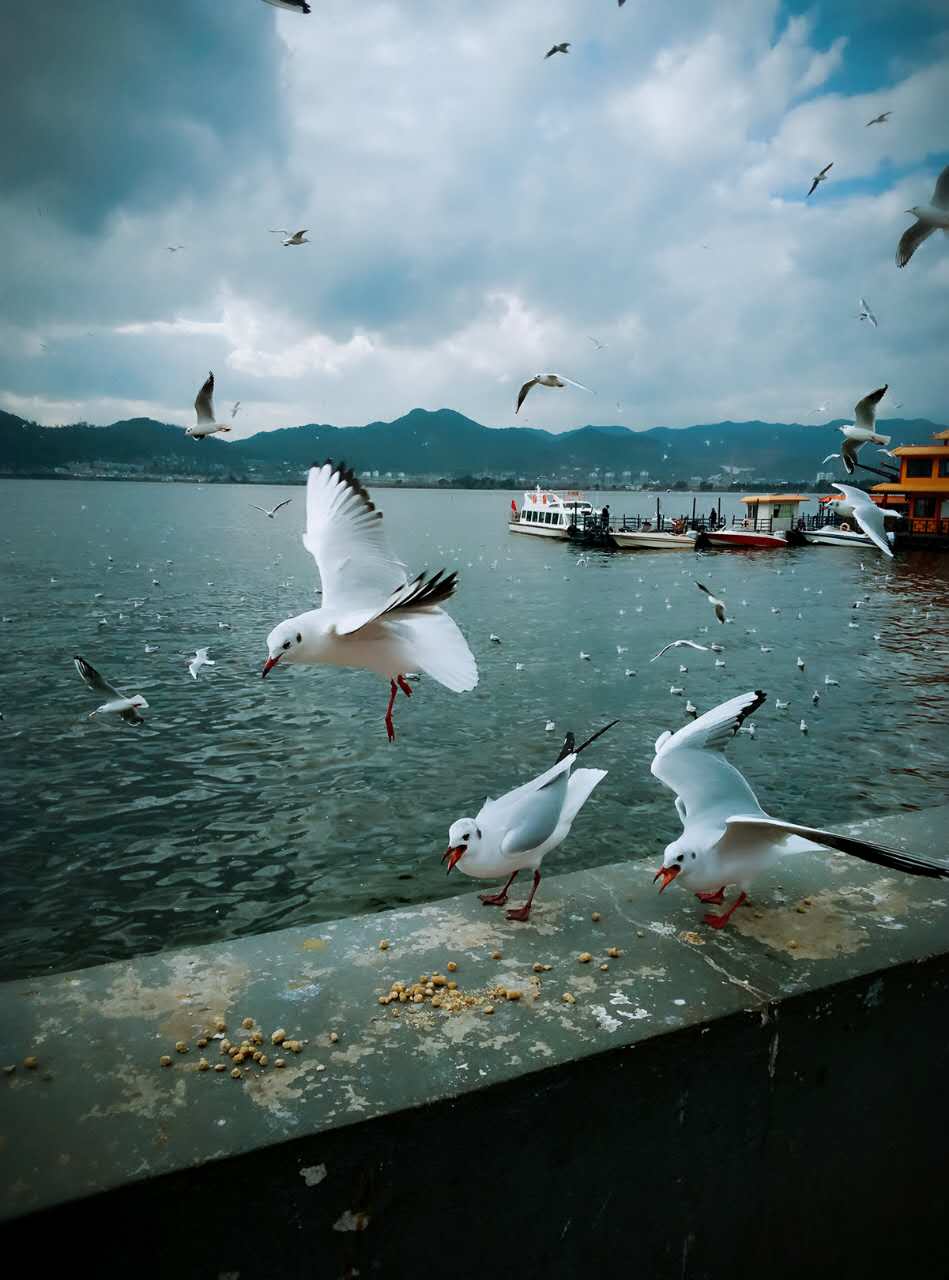 谁说友谊不可以长久,谁说友谊不会天长地久