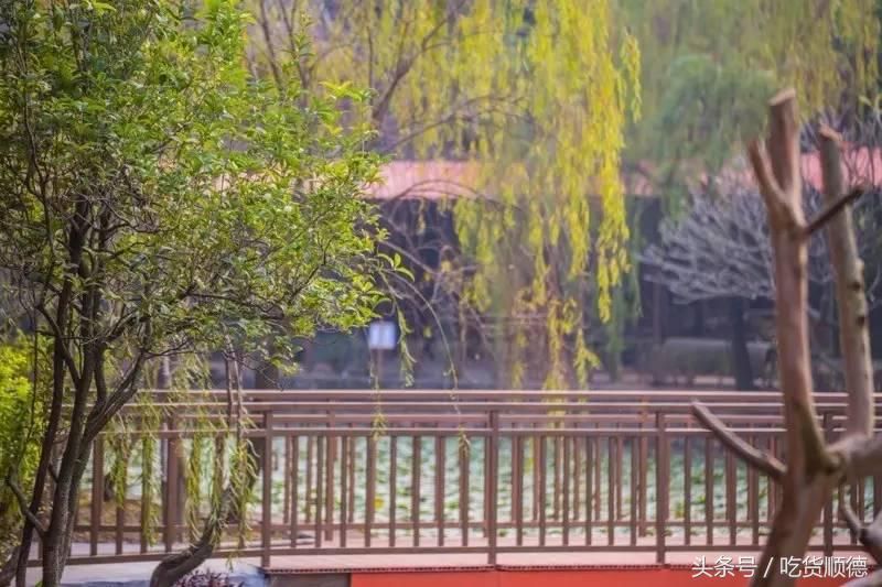 陪伴均安人十几年酒楼全面升级,全新创意茶点,大良都要过去饮茶