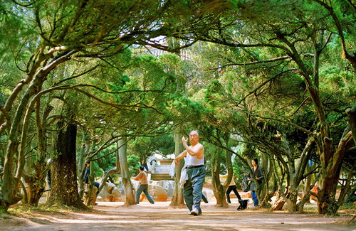 更年期怎么保养自己，犹如不老女神赵雅芝不老男神钟汉良