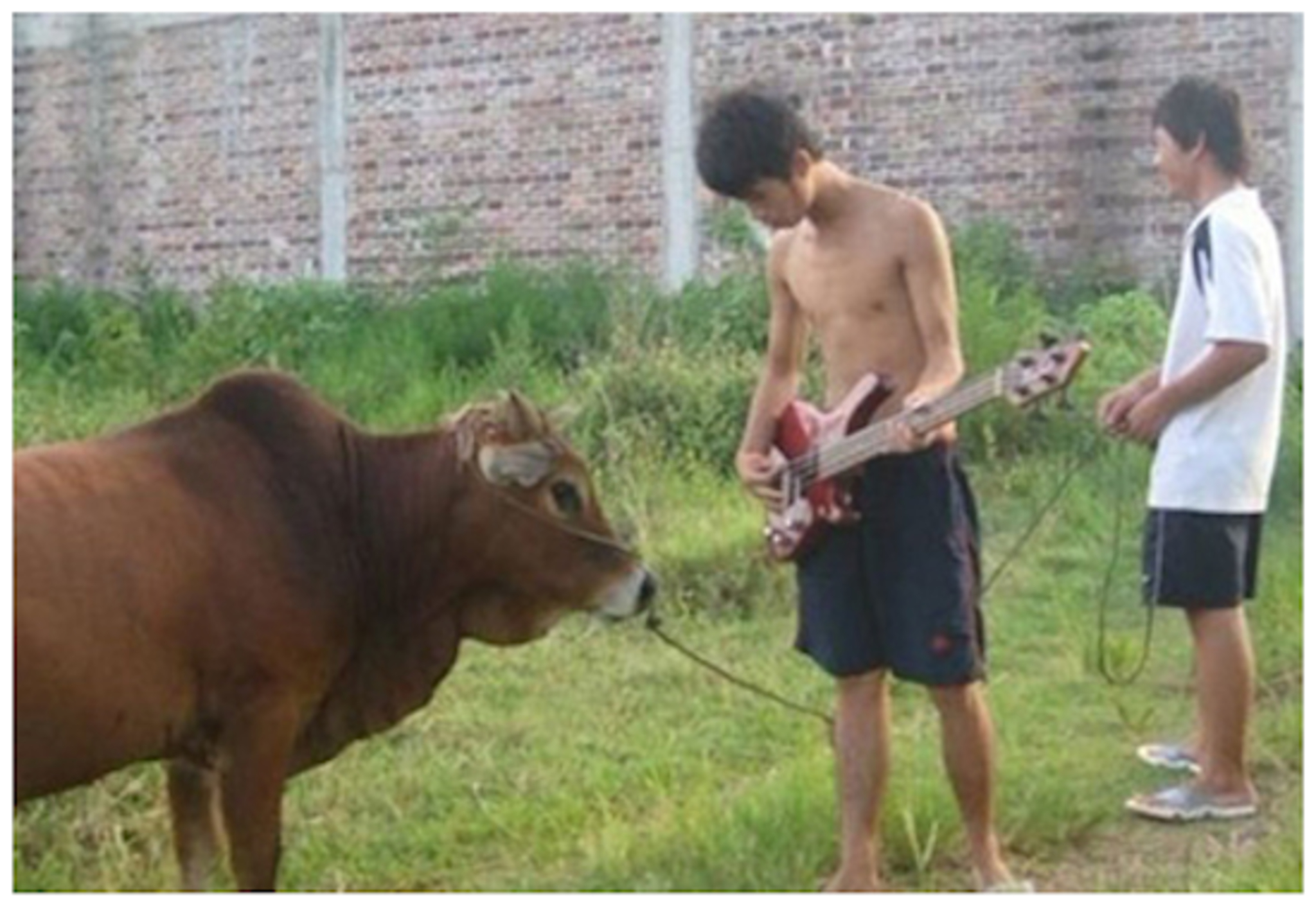 怎么对付后车开远光灯,强光手电对付后车远光灯