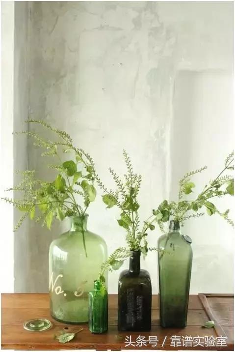 家居丨圣诞节,用花瓶装扮美美的家