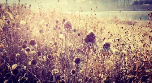 华为m3平板8.4寸,华为平板m3八英寸