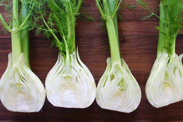 金酒就是松子酒吗,金酒是香槟吗