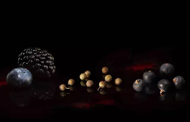 金酒就是松子酒吗,金酒是香槟吗