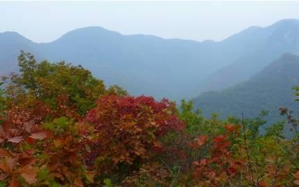 本色岐山,一座不来会遗憾终身的城!