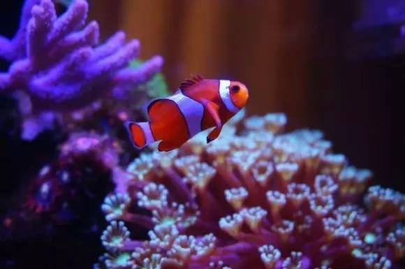 玩的真溜,三千玩出了三万的水平!