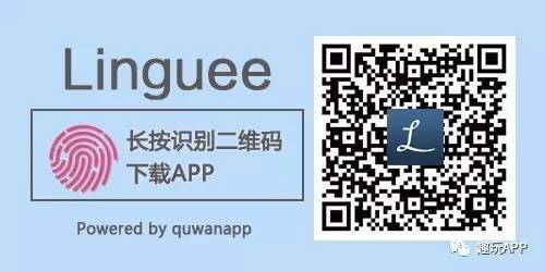 翻译器app推荐多种语言,实时翻译app哪个好用边说话边翻译