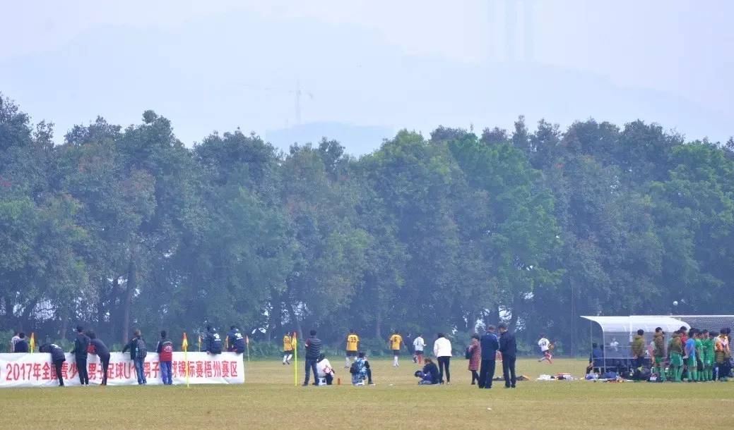 杨璞谈青训,杨璞回忆徐云龙