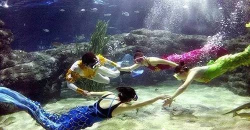 周末恰逢圣诞，去这些好玩的地方就对了！