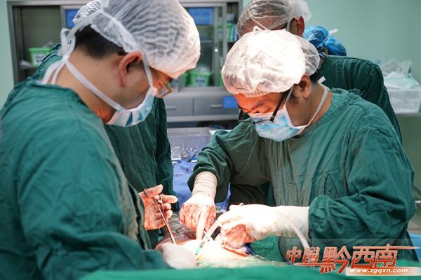 老人髋关节置换手术早期复健,高龄老人髋关节置换手术康复