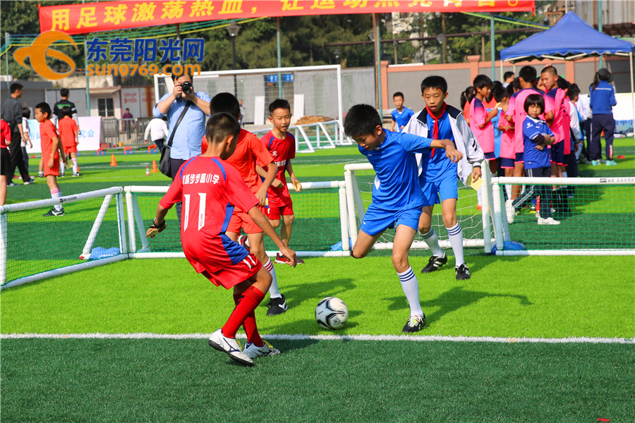 不说不知道！东莞校园足球原来那么牛！连专家都说整体水平可进省前五！