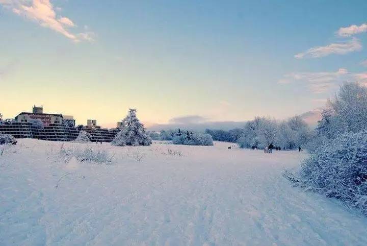 水象星座的两个极品阴暗时刻,水象星座都很有魅力