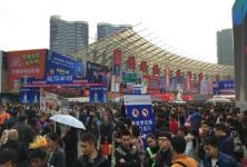 二孩政策落地要多久,2015年全面二孩政策