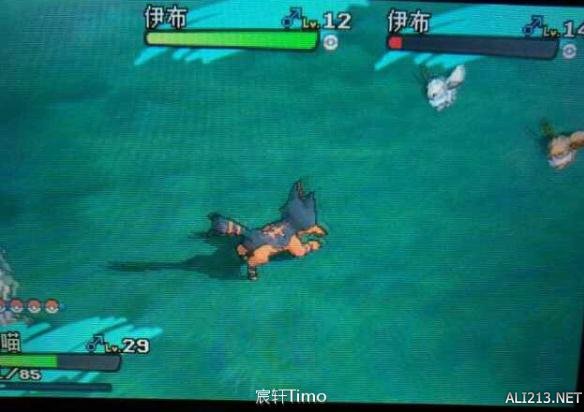 口袋妖怪日月需要什么配置,口袋妖怪日月阵容搭配