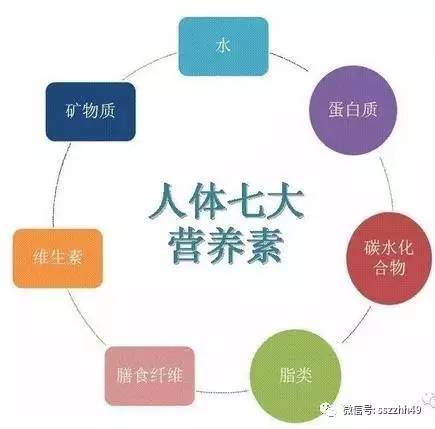 学习营养学怎么入门,营养学入门知识大全